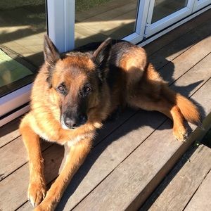 Meet your Posher, Kerry